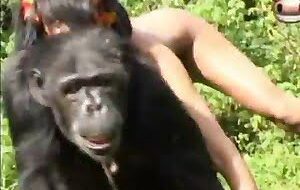 Sexo nacional HD com morena cavala demais - Mulheres transando com macaco